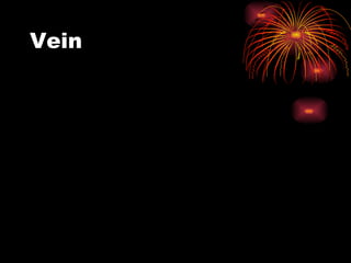 Vein 