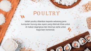 POULTRY
Istilah poultry diberikan kepada sebarang jenis
kumpulan burung atau ayam yang diternak khas untuk
di makan dagingnya dan telurnya serta untuk
kegunaan komersial.
 