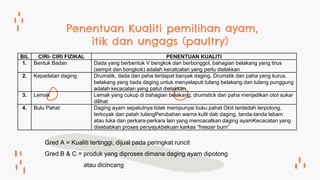 Gred A = Kualiti tertinggi, dijual pada peringkat runcit
Gred B & C = produk yang diproses dimana daging ayam dipotong
atau dicincang
Penentuan Kualiti pemilihan ayam,
itik dan ungags (paultry)
BIL CIRI- CIRI FIZIKAL PENENTUAN KUALITI
1. Bentuk Badan Dada yang berbentuk V bengkok dan berbonggol, bahagian belakang yang tirus
(sempit dan bongkok) adalah kecatcatan yang perlu dielakkan
2. Kepadatan daging Drumstik, dada dan peha terdapat banyak daging. Drumstik dan paha yang kurus,
belakang yang tiada daging untuk menyelaputi tulang belakang dan tulang punggung
adalah kecacatan yang patut dielakkan
3. Lemak Lemak yang cukup di bahagian belakang, drumstick dan paha menjadikan otot sukar
dilihat
4. Bulu Pahat Daging ayam sepatutnya tidak mempunyai buku pahat Otot terdedah terpotong,
terkoyak dan patah tulangPerubahan warna kulit dab daging, tanda-tanda lebam
atau luka dan perkara-perkara lain yang mencacatkan daging ayamKecacatan yang
disebabkan proses penyejukbekuan karkas “freezer burn”
 