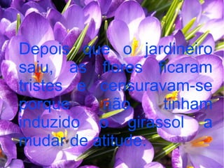 Depois que o jardineiro
saiu, as flores ficaram
tristes e censuravam-se
porque
não
tinham
induzido o girassol a
mudar de atitude.

 
