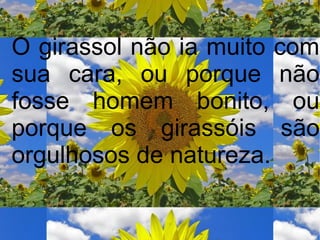 O girassol não ia muito com
sua cara, ou porque não
fosse homem bonito, ou
porque os girassóis são
orgulhosos de natureza.

 