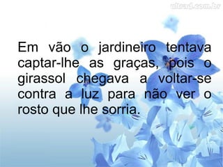 Em vão o jardineiro tentava
captar-lhe as graças, pois o
girassol chegava a voltar-se
contra a luz para não ver o
rosto que lhe sorria.

 