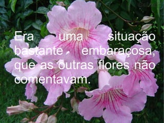 Era
uma
situação
bastante embaraçosa,
que as outras flores não
comentavam.

 