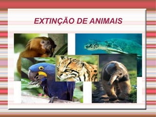 EXTINÇÃO DE ANIMAIS

 