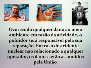 Ocorrendo qualquer dano ao meio
ambiente em razão da atividade, o
poluidor será responsável pela sua
reparação. Em caso de acidente
nuclear não relacionado a qualquer
operador, os danos serão assumidos
pela União.
 