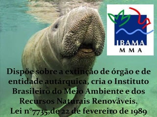 Dispõe sobre a extinção de órgão e de
entidade autárquica, cria o Instituto
Brasileiro do Meio Ambiente e dos
Recursos Naturais Renováveis.
Lei n°7735,de 22 de fevereiro de 1989
 