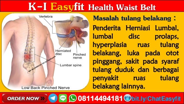 Wa 08114494181 Www Sakit Pinggang Sebelah Kanan Easyfit Health Waist