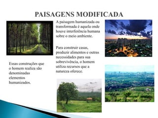 Essas construções que
o homem realiza são
denominadas
elementos
humanizados.
A paisagem humanizada ou
transformada é aquela onde
houve interferência humana
sobre o meio ambiente.
Para construir casas,
produzir alimentos e outras
necessidades para sua
sobrevivência, o homem
utiliza recursos que a
natureza oferece.
 