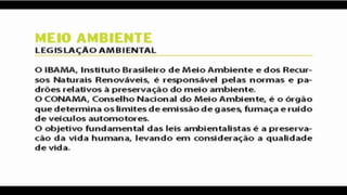 Slide Meio Ambiente