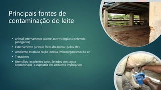 Principais fontes de
contaminação do leite
• animal internamente (úbere ,outros órgãos contendo
patógenos)
• Externamente (urina e fezes do animal ,pelos etc)
• Ambiente estabulo ração ,poeira (microorganismo do ar)
• Tratadores
• Utensílios recipientes sujos ,lavados com agua
contaminada e expostos em ambiente impróprios
 