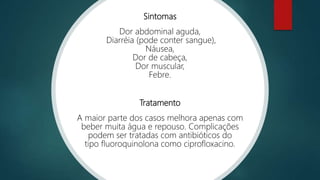 Sintomas
Dor abdominal aguda,
Diarréia (pode conter sangue),
Náusea,
Dor de cabeça,
Dor muscular,
Febre.
Tratamento
A maior parte dos casos melhora apenas com
beber muita água e repouso. Complicações
podem ser tratadas com antibióticos do
tipo fluoroquinolona como ciprofloxacino.
 