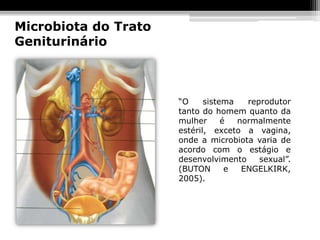 Microbiota do Trato
Geniturinário



                      “O     sistema   reprodutor
                      tanto do homem quanto da
                      mulher      é  normalmente
                      estéril, exceto a vagina,
                      onde a microbiota varia de
                      acordo com o estágio e
                      desenvolvimento     sexual”.
                      (BUTON       e  ENGELKIRK,
                      2005).
 