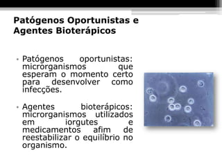 Patógenos Oportunistas e
Agentes Bioterápicos


• Patógenos   oportunistas:
  microrganismos       que
  esperam o momento certo
  para desenvolver como
  infecções.

• Agentes        bioterápicos:
  microrganismos utilizados
  em         iorgutes         e
  medicamentos      afim     de
  reestabilizar o equilíbrio no
  organismo.
 