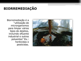 BIORREMEDIAÇÃO


 Biorremediação é a
        “utilização de
     microrganismos
  para limpar vários
    tipos de dejetos,
   incluindo efluente
  industrial e outros
      poluentes” Ex.:
         herbicidas e
           pesticidas.
 