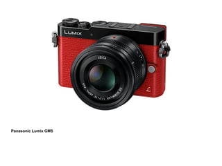 Panasonic Lumix GM5 
 