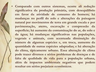 Comparado com outros sistemas, ocorre ali redução significativa da produção primária, com desequilíbrio em favor da atividade de consumo do homem; há mudanças no perfil do solo e alterações da paisagem natural por movimentos de terra em grande escala e por pavimentação, aterro, escavação e compressão da superfície; há aumento da contaminação do ar, do solo e da água; há mudanças significativas nas populações, vegetais e animais, com acentuada diminuição do número de algumas espécies e, em troca, aumento da quantidade de outras espécies adaptadas; e há alteração do clima, tipicamente urbano. Essa alteração de clima pode trazer diversos e sérios problemas de doenças e de falta de qualidade de vida para a população urbana, além de impactos ambientais negativos que podem resultar em sérios prejuízos econômicos.