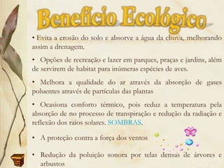 Benefício Ecológico Evita a erosão do solo e absorve a água da chuva, melhorando assim a drenagem.   Opções de recreação e lazer em parques, praças e jardins, além de servirem de habitat para inúmeras espécies de aves.   Melhora a qualidade do ar através da absorção de gases poluentes através de partículas das plantas