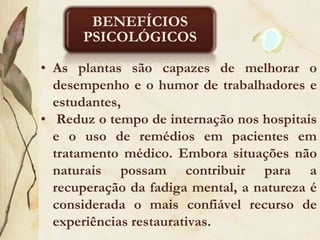 Benefícios EstéticosOs efeitos estéticos, evidenciados pelas propriedades ornamentais de cada espécie como forma, cor e textura têm o poder de modificar ambientes visualmente, tornando-os mais agradáveis às vistas de seus usuários. 