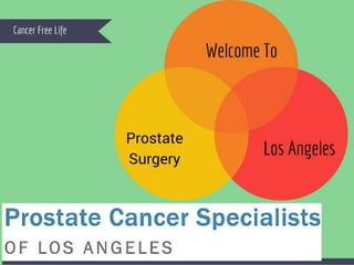 Prostate Cancer Surgeon Los Angeles 