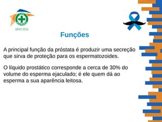 Funções
A principal função da próstata é produzir uma secreção
que sirva de proteção para os espermatozoides.
O líquido prostático corresponde a cerca de 30% do
volume do esperma ejaculado; é ele quem dá ao
esperma a sua aparência leitosa.
 