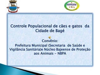 Controle Populacional de cães e gatos da
Cidade de Bagé
Convênio:
Prefeitura Municipal (Secretaria de Saúde e
Vigilância Sanitária)e Núcleo Bajeense de Proteção
aos Animais - NBPA
 
