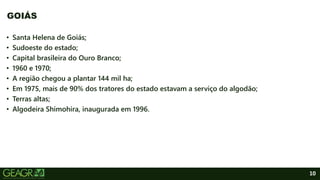 10
GOIÁS
• Santa Helena de Goiás;
• Sudoeste do estado;
• Capital brasileira do Ouro Branco;
• 1960 e 1970;
• A região chegou a plantar 144 mil ha;
• Em 1975, mais de 90% dos tratores do estado estavam a serviço do algodão;
• Terras altas;
• Algodeira Shimohira, inaugurada em 1996.
 