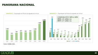 29
PANORAMA NACIONAL
Fonte: CONAB, 2021.
 