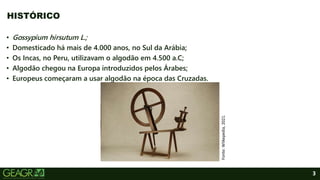 3
• Gossypium hirsutum L.;
• Domesticado há mais de 4.000 anos, no Sul da Arábia;
• Os Incas, no Peru, utilizavam o algodão em 4.500 a.C;
• Algodão chegou na Europa introduzidos pelos Árabes;
• Europeus começaram a usar algodão na época das Cruzadas.
HISTÓRICO
Fonte:
WIikepedia,
2021.
 