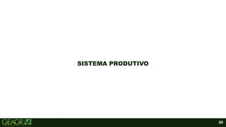 39
SISTEMA PRODUTIVO
 