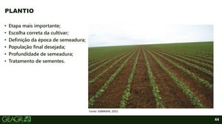 44
• Etapa mais importante;
• Escolha correta da cultivar;
• Definição da época de semeadura;
• População final desejada;
• Profundidade de semeadura;
• Tratamento de sementes.
PLANTIO
Fonte: EMBRAPA, 2021.
 