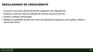 45
• Controla o excessivo desenvolvimento vegetativo dos algodoeiros;
• Diminui o ciclo por meio da redução do número excessivo de nós;
• Facilita a colheita mecanizada;
• Melhora a qualidade da fibra por meio da redução de impurezas como galhos, folhas e
cascas dos ramos.
REGULADORES DE CRESCIMENTO
 