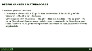 48
• Principais produtos utilizados:
–Tidiazuron + diuron – 120 + 60 g L-1 – dose recomendada é de 48 a 60 g ha-1 de
tidiazuron + 24 a 30 g ha-1 de diuron;
–Carfentrazone-ethyl (triazolona) – 400 g L-1 – dose recomendada – 40 a 60 g ha-1 + 1%
v.v, de óleo mineral. Deve-se tomar cuidado com a concentração de óleo mineral, pois
sendo superior a 1% v.v, poderá comprometer a qualidade da fibra, causando sobretudo
pegajosidade.
DESFOLHANTES E MATURADORES
 