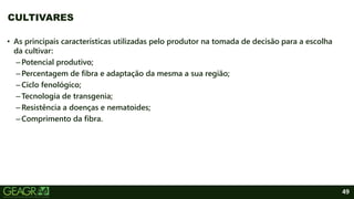 49
• As principais características utilizadas pelo produtor na tomada de decisão para a escolha
da cultivar:
–Potencial produtivo;
–Percentagem de fibra e adaptação da mesma a sua região;
–Ciclo fenológico;
–Tecnologia de transgenia;
–Resistência a doenças e nematoides;
–Comprimento da fibra.
CULTIVARES
 