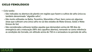 50
• Ciclo tardio:
–São indicadas na abertura do plantio em regiões que fazem o cultivo de safra única ou
também denominado “algodão safra”;
–São muito utilizadas na Bahia, Tocantins, Maranhão e Piauí, bem como em algumas
áreas que cultivam uma única safra no sul dos estados de Mato Grosso, Goiás e Mato
Grosso do Sul;
–São consideradas cultivares tardias aquelas que demandam acima de 180 dias da
emergência até a maturação (90% dos capulhos abertos), tomando-se como referência
as condições do Cerrado, em altitude acima de 750 m e semeadura no período de safra.
CICLO FENOLÓGICO
 