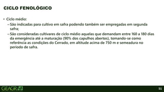51
• Ciclo médio:
–São indicadas para cultivo em safra podendo também ser empregadas em segunda
safra;
–São consideradas cultivares de ciclo médio aquelas que demandam entre 160 a 180 dias
da emergência até a maturação (90% dos capulhos abertos), tomando-se como
referência as condições do Cerrado, em altitude acima de 750 m e semeadura no
período de safra.
CICLO FENOLÓGICO
 