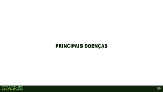 53
PRINCIPAIS DOENÇAS
 