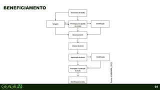 64
BENEFICIAMENTO
Fonte:
EMBRAPA,
2021.
 