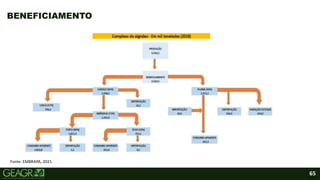 65
BENEFICIAMENTO
Fonte: EMBRAPA, 2021.
 