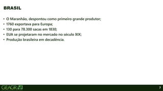 7
BRASIL
• O Maranhão, despontou como primeiro grande produtor;
• 1760 exportava para Europa;
• 130 para 78.300 sacas em 1830;
• EUA se projetaram no mercado no século XIX;
• Produção brasileira em decadência.
 
