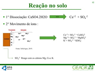  1° Dissociação: CaSO4.2H2O Ca+2 + SO4
-2
 2° Movimento de íons :
Reação no solo
12
H2O
SO4
-2 Reage com os cátions Mg, Ca e K.
Ca+2 + SO4
-2 → CaSO4
0
Mg+2+ SO4
-2 → MgSO4
0
K++ SO4
-2 → KSO4
-
Fonte: SolloAgro, 2019.
 