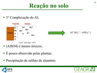  3° Complexação do Al;
 (AlSO4) é menos tóxicos;
 É pouco absorvido pelas plantas;
 Precipitação de sulfato de alumínio.
Reação no solo
13
Al3+SO4
-2 → AlSO4
-2 ↓
Fonte: SolloAgro, 2019.
 