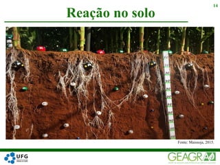 Reação no solo
14
Fonte: Maissoja, 2015.
 