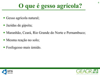  Gesso agrícola natural;
 Jazidas de gipsita;
 Maranhão, Ceará, Rio Grande do Norte e Pernambuco;
 Mesma reação no solo;
 Fosfogesso mais úmido.
O que é gesso agrícola?
4
 