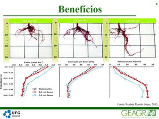Benefícios
8
Fonte: Revista Plantio direto, 2013.
 