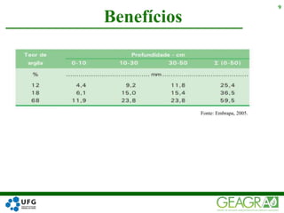 Benefícios
9
Fonte: Embrapa, 2005.
 