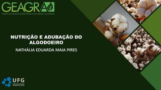 NATHÁLIA EDUARDA MAIA PIRES
NUTRIÇÃO E ADUBAÇÃO DO
ALGODOEIRO
 