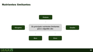 16
Nutrientes limitantes
Enxofre
Boro
Potássio
Nitrogênio
Os principais nutrientes limitantes
para o algodão são:
Zinco
 
