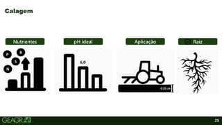 25
Calagem
Nutrientes Raiz
Aplicação
pH ideal
N
S
P B
6,0
0-20 cm
 