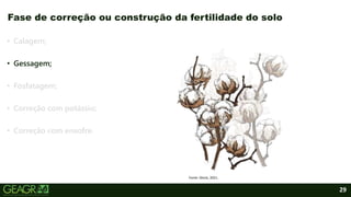 29
• Calagem;
• Gessagem;
• Fosfatagem;
• Correção com potássio;
• Correção com enxofre.
Fase de correção ou construção da fertilidade do solo
Fonte: iStock, 2021.
 