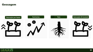 30
Gessagem
Saturação por bases Nutrientes Saturação Al trocável
Raiz
Ca
S
 
